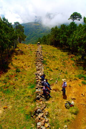 Oaxaca Hiking - Senderismo Sierra Norte de Oaxaca - Zempoaltepetl