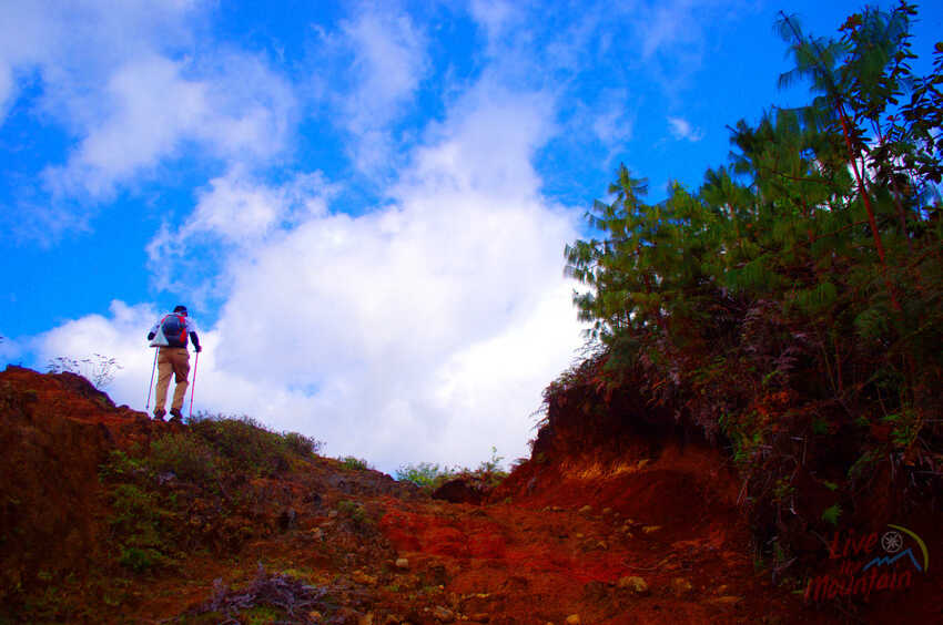 Travesía de Montaña, Coatepec - Cofre de Perote, Rutas de Montaña, Senderismo, Aventura, Hiking
