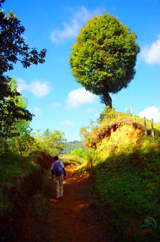 Travesía de Montaña, Coatepec - Cofre de Perote, Rutas de Montaña, Senderismo, Aventura, Hiking