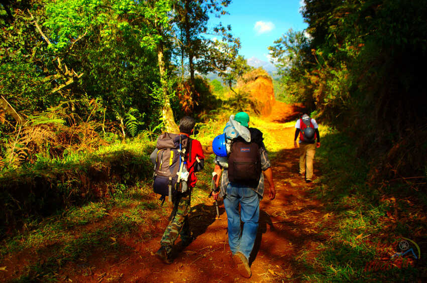 Travesía de Montaña, Coatepec - Cofre de Perote, Rutas de Montaña, Senderismo, Aventura, Hiking