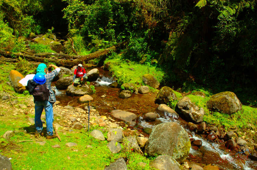 Travesía de Montaña, Coatepec - Cofre de Perote, Rutas de Montaña, Senderismo, Aventura, Hiking