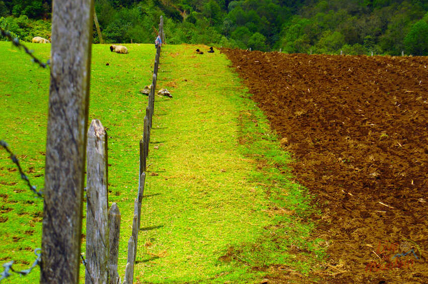 Travesía de Montaña, Coatepec - Cofre de Perote, Rutas de Montaña, Senderismo, Aventura, Hiking