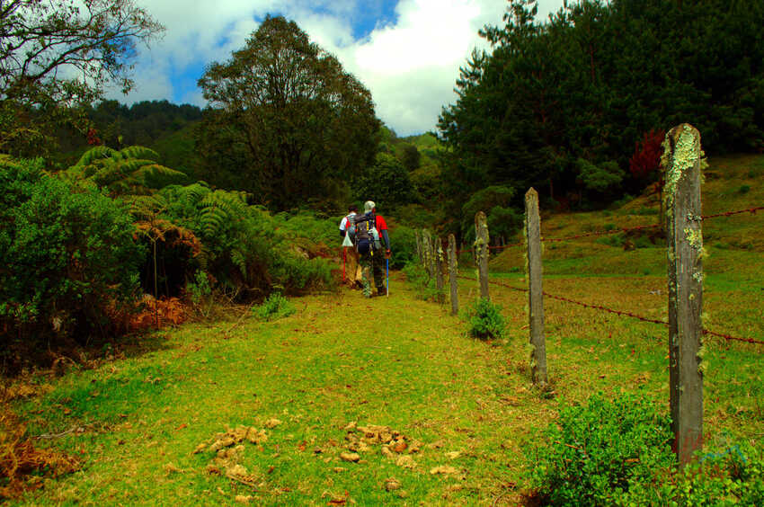 Travesía de Montaña, Coatepec - Cofre de Perote, Rutas de Montaña, Senderismo, Aventura, Hiking