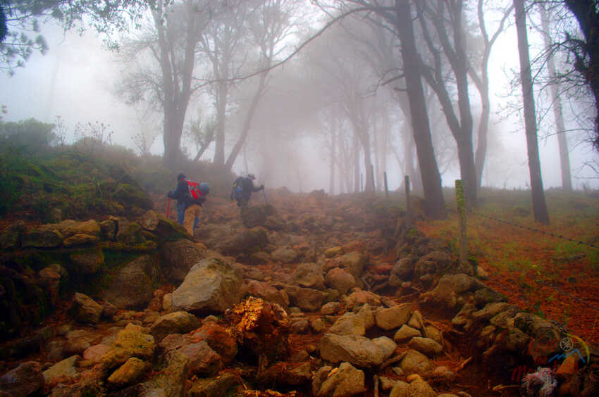 Travesía de Montaña, Coatepec - Cofre de Perote, Rutas de Montaña, Senderismo, Aventura, Hiking