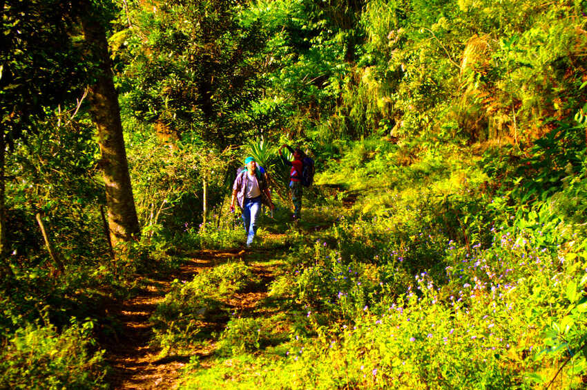 Travesía de Montaña, Coatepec - Cofre de Perote, Rutas de Montaña, Senderismo, Aventura, Hiking