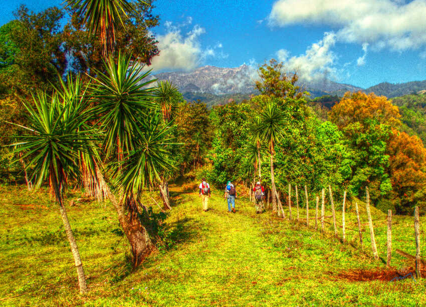 Travesía de Montaña, Coatepec - Cofre de Perote, Rutas de Montaña, Senderismo, Aventura, Hiking