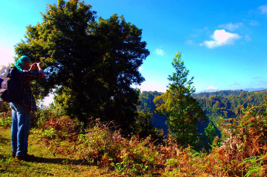 Travesía de Montaña, Coatepec - Cofre de Perote, Rutas de Montaña, Senderismo, Aventura, Hiking
