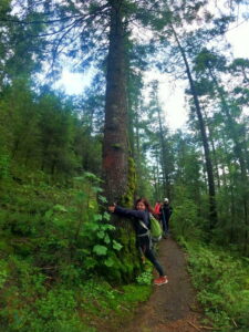 DCIM100GOPROGOPR3830.JPG Cascada del Coyote, Senderismo, CDMX, Dinamos, Montañas, Rutas, Mexico City, Hiking