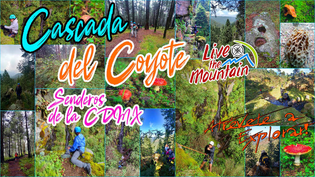 Cascada del Coyote | Bosque, miradores y cascadas| Senderismo & Rapel | Nivel Básico | CDMX