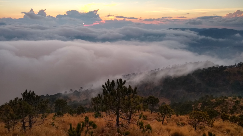 senderismo ajusco, pico del aguila, cruz del marqués, cdmx, montañismo, aventura, hiking, trekking, amanecer