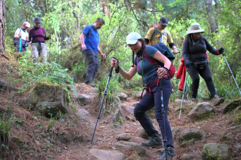 Sendero de la Mariposa Monarca Nevado de Toluca Valle de Bravo Ruta GPS CDMX Mexico