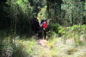 Sendero de la Mariposa Monarca Nevado de Toluca Valle de Bravo Ruta GPS CDMX Mexico
