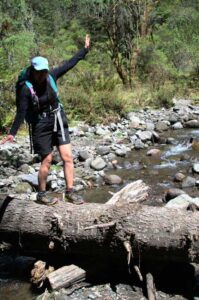 Sendero de la Mariposa Monarca Nevado de Toluca Valle de Bravo Ruta GPS CDMX Mexico