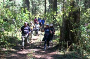 Sendero de la Mariposa Monarca Nevado de Toluca Valle de Bravo Ruta GPS CDMX Mexico