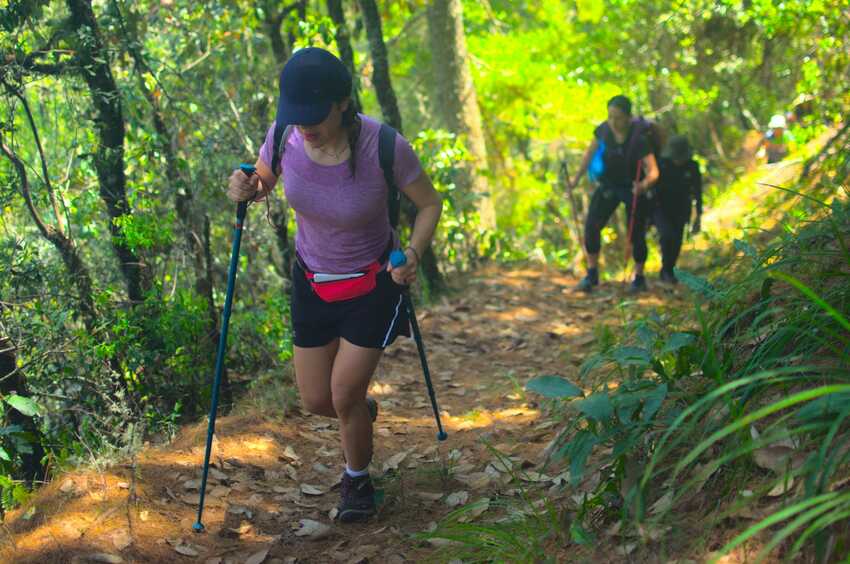 Qué ventajas ofrecen los bastones de trekking