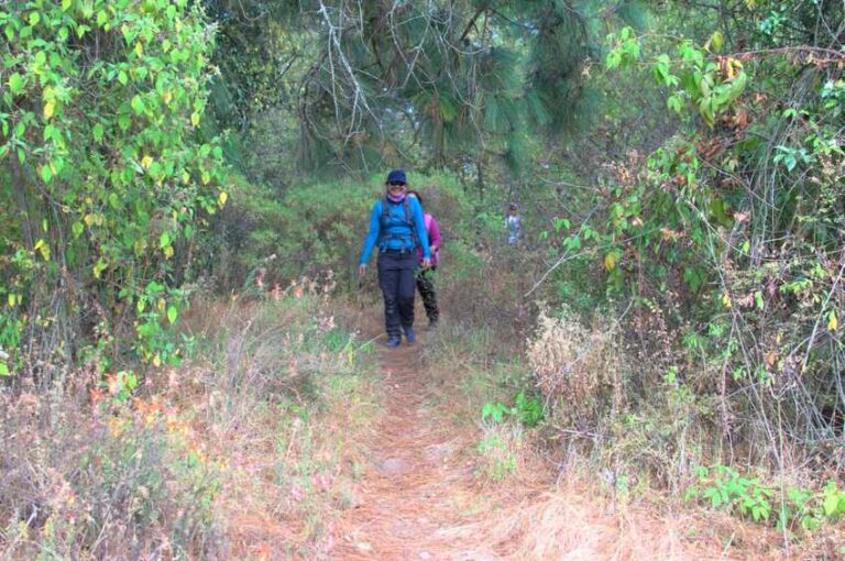 Sendero de la Mariposa Monarca Nevado de Toluca Valle de Bravo Ruta GPS CDMX Mexico