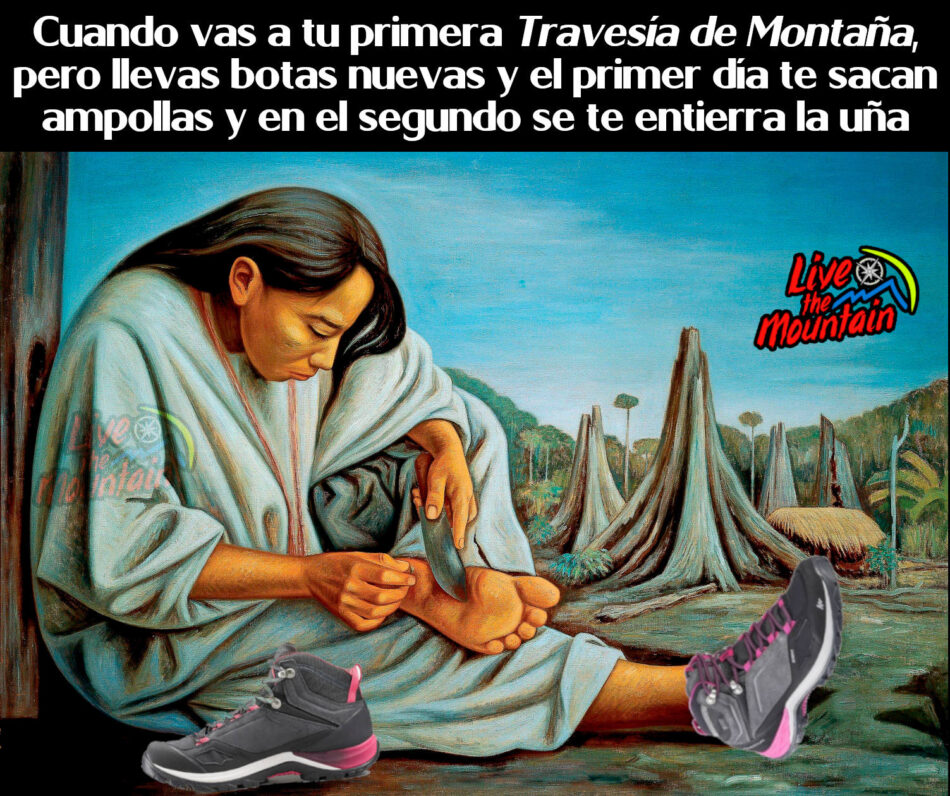 Meme botas de montaña senderismo