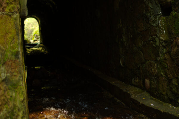 Senderismo CDMX Sierra Otomí