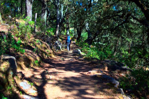 Senderismo Sierra Gorda Huasteca Queretana