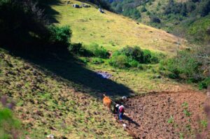 Senderismo Sierra Gorda Huasteca Queretana