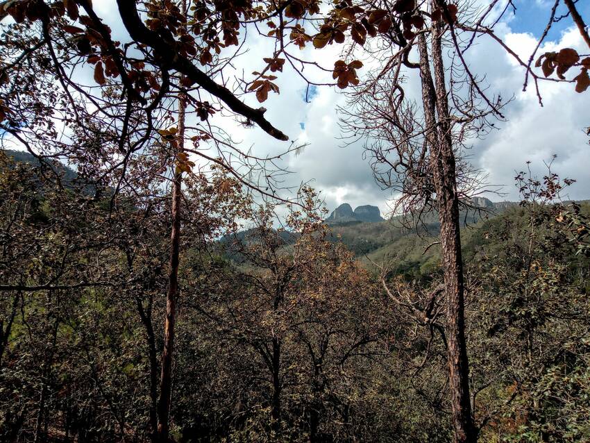 Senderismo cerca de la CDMX en Sierra de Huasca, Hidalgo