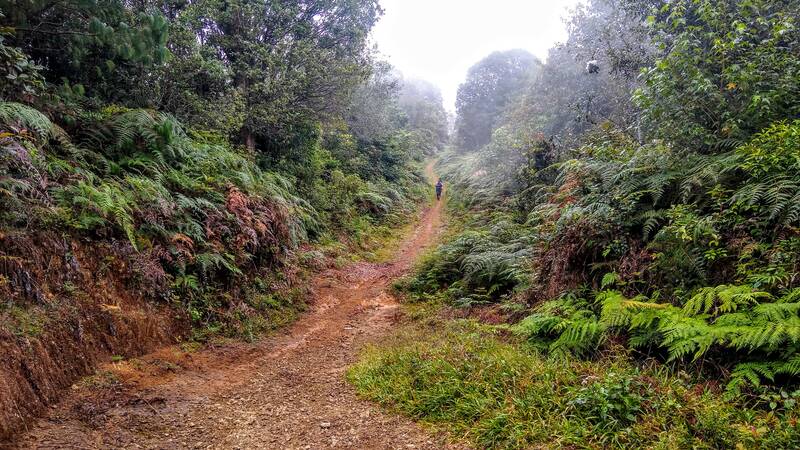 Senderismo en México - Coatepec Cofre de Perote Veracruz Puebla
