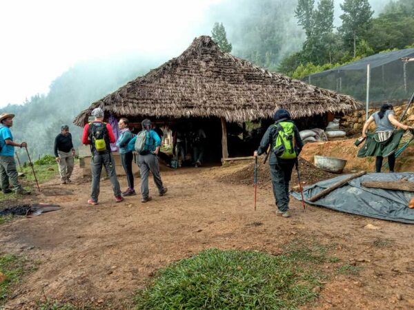Senderismo Sierra Norte de Oaxaca - Ruta del Cafe y El Pozontle Oaxaca Hiking