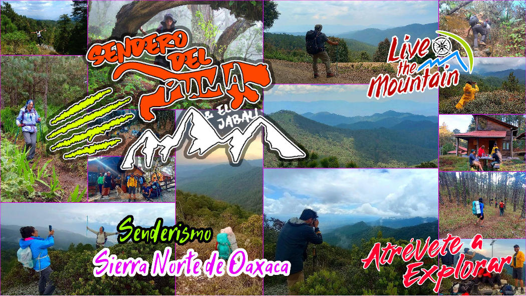 Senderos del Puma & Jabalí  | Sierra Norte de Oaxaca | Cabañas, Pueblos & Aventura