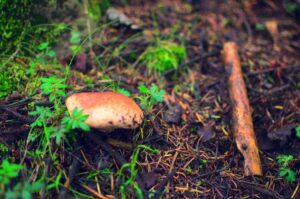 Senderismo CDMX Cañón del Coyote Puerta del Cielo Mexico Hiking