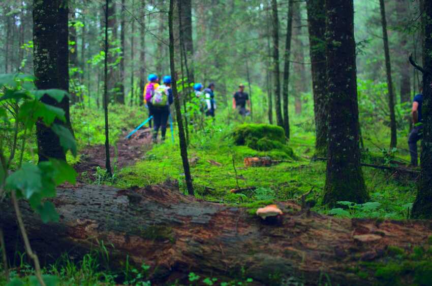 Senderismo CDMX Cañón del Coyote Puerta del Cielo Mexico Hiking
