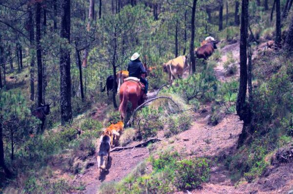 ruta otomi centro ceremonial otomi travesia senderismo hiking montañismo cdmx