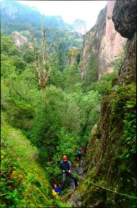 a81d39acbdc4a4a9e2ea66d4f47c34f7 a81d39acbdc4a4a9e2ea66d4f47c34f7