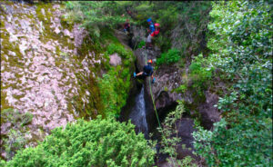 deea65bd4184021fbbf45680d83ee3ab deea65bd4184021fbbf45680d83ee3ab