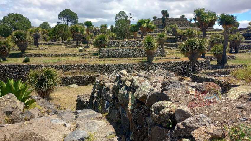 Cantona, Puebla, Zona Arqueologia, Senderismo, Aventura, Hiking, Mexico, Aventura, Cumbre, Cofre de Perote