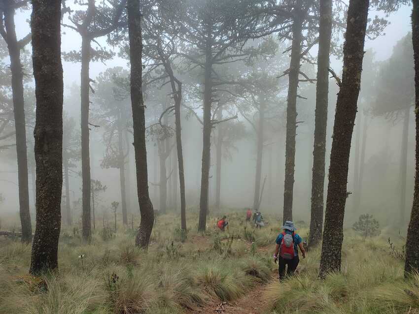senderismo cofre de perote mexico mountain guides guías de montaña caminatas