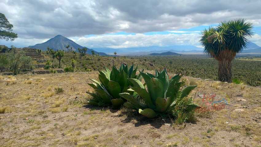 Cantona, Puebla, Zona Arqueologia, Senderismo, Aventura, Hiking, Mexico, Aventura, Cumbre, Cofre de Perote