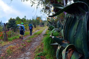 nevado de colima, ndc, desde raíz, jalisco, zapotepetl, cumbre, montañismo, senderismo, trekking, hiking