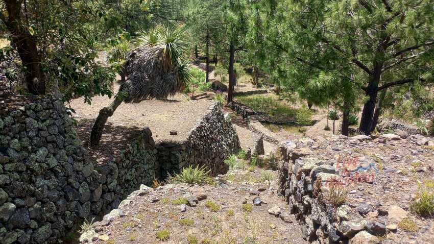 Cantona, Puebla, Zona Arqueologia, Senderismo, Aventura, Hiking, Mexico, Aventura, Cumbre, Cofre de Perote