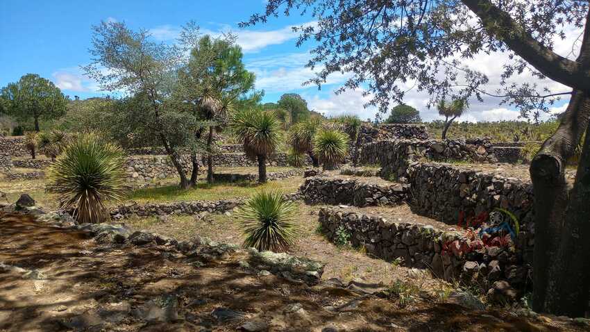 Cantona, Puebla, Zona Arqueologia, Senderismo, Aventura, Hiking, Mexico, Aventura, Cumbre, Cofre de Perote