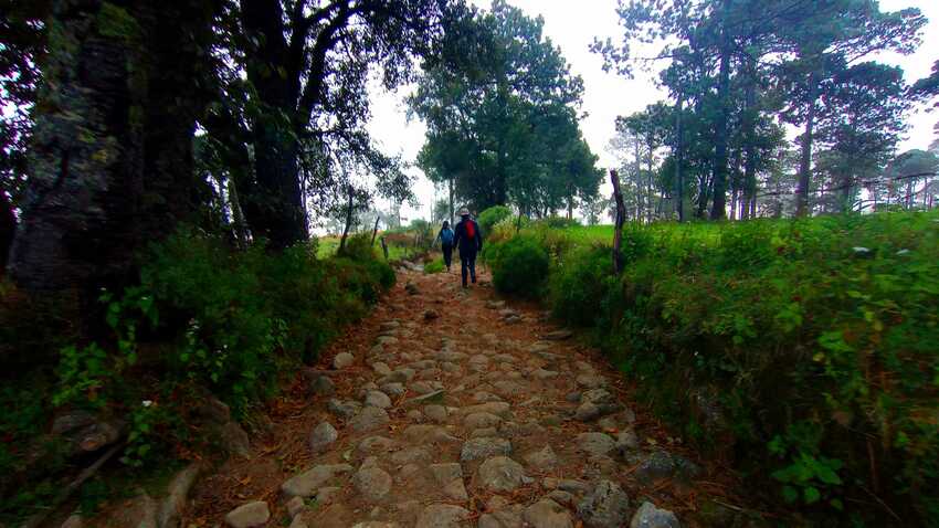 senderismo cofre de perote mexico mountain guides guías de montaña caminatas