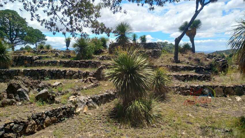 Cantona, Puebla, Zona Arqueologia, Senderismo, Aventura, Hiking, Mexico, Aventura, Cumbre, Cofre de Perote