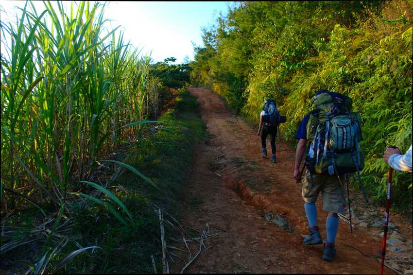 Oaxaca Hiking, Ruta de la Caña y el mezcal, Senderismo Oaxaca, rutas de montaña, sierra norte de oaxaca, oaxaca trekking, senderismo mexico, rutas de montaña méxico, mexico mountain guides