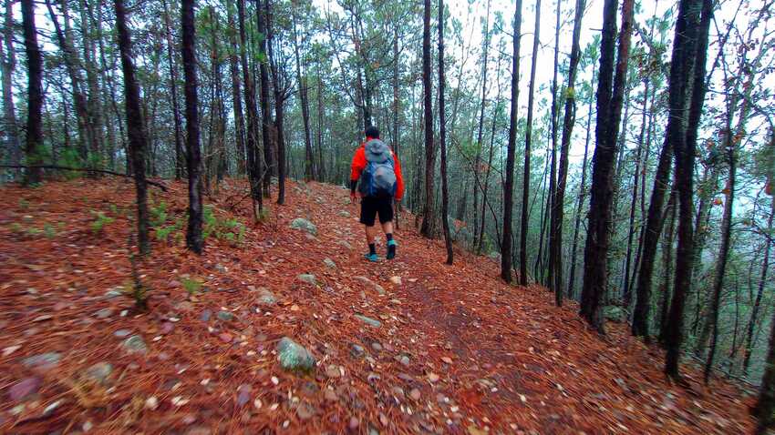 Senderismo México, Camino del Minero, Rutopía, Sierra de Hidalgo, Mineral del Chico, Real del Monte, Zembo, Huasca de Ocampo, Ruta de Aventura, Cascadas, Travesía de Montaña, Guías de Montaña
