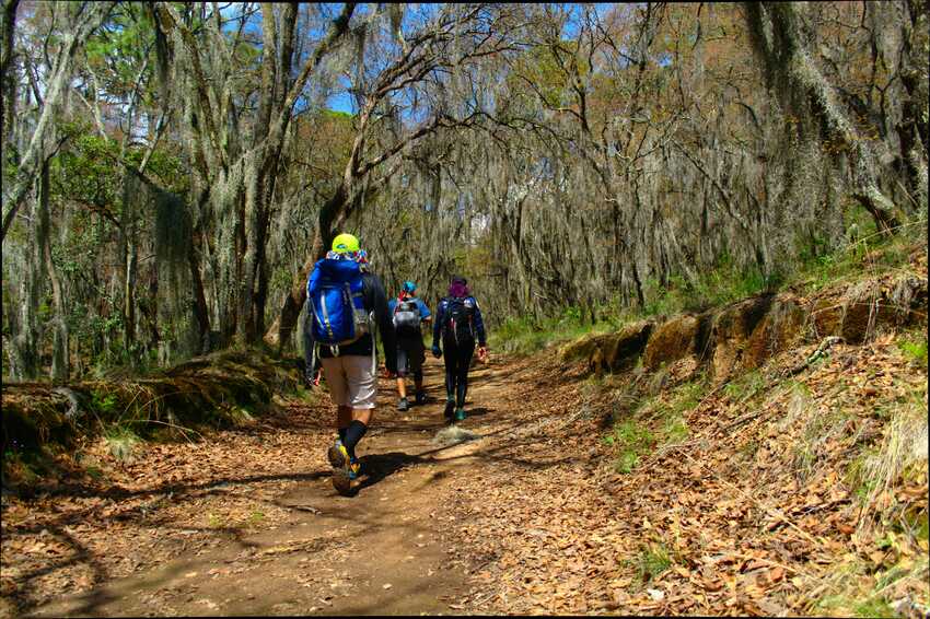 Senderismo México, Camino del Minero, Rutorpía, Sierra de Hidalgo, Mineral del Chico, Real del Monte, Zembo, Huasca de Ocampo, Ruta de Aventura, Cascadas, Travesía de Montaña,