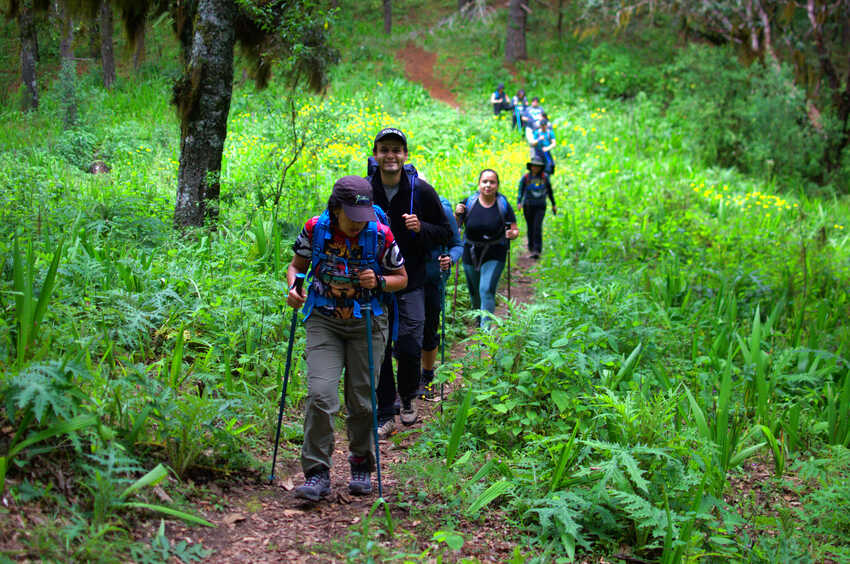 Senderismo Sierra Norte de Oaxaca, Oaxaca Hiking, Trail Oaxaca, Montañas de Oaxaca, Oaxaca Mountain Guides, Travesías de Montaña, Sendero del Puma y el Jabalí