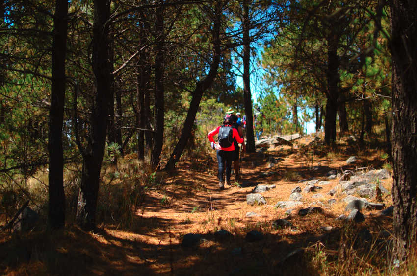 Tipos de Senderos, Tipos de Caminos, Veredas, Caminos de Agua, Camino Real, Brecha & Terracerías, Senderismo, Rutas de Montaña