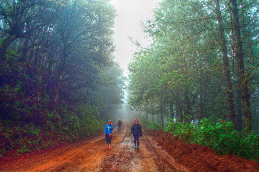 Tipos de Caminos, Veredas, Caminos de Agua, Camino Real, Brecha & Terracerías, Senderismo, Rutas de Montaña, Camino Terracería