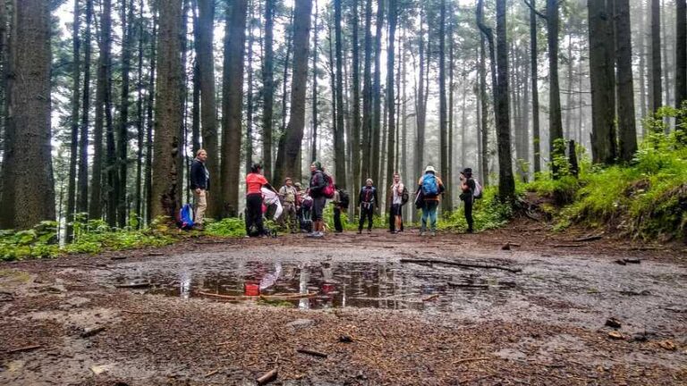 436ec765c61864062b04b572e206a801 436ec765c61864062b04b572e206a801