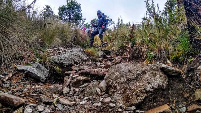 d5185758672351dada7df01abc2ffcfe Senderismo México, Sierra Montes de las Cruces, CDMX, Senderismo, Mexico, Ciudad de Mexico, Montañismo, Guias de Montaña, Rutas de Montaña, Grupos de Senderismo, Hiking, Trekking, Aventura, Trail Running