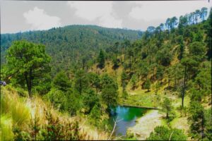 senderismo, cdmx, taravilla, media luna, dinamos, desierto de los leones, nezehuiloya, trekking, rapel, miradores, peñas, cumbres, hiking, montañismo, mexico, guías, grupos